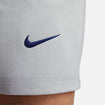 Men's Nike USA Fleece Travel Shorts in Grey - Nike Logo View