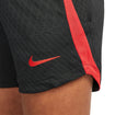 Women's Nike USWNT 2023 Strike Knit Black Shorts - Nike View