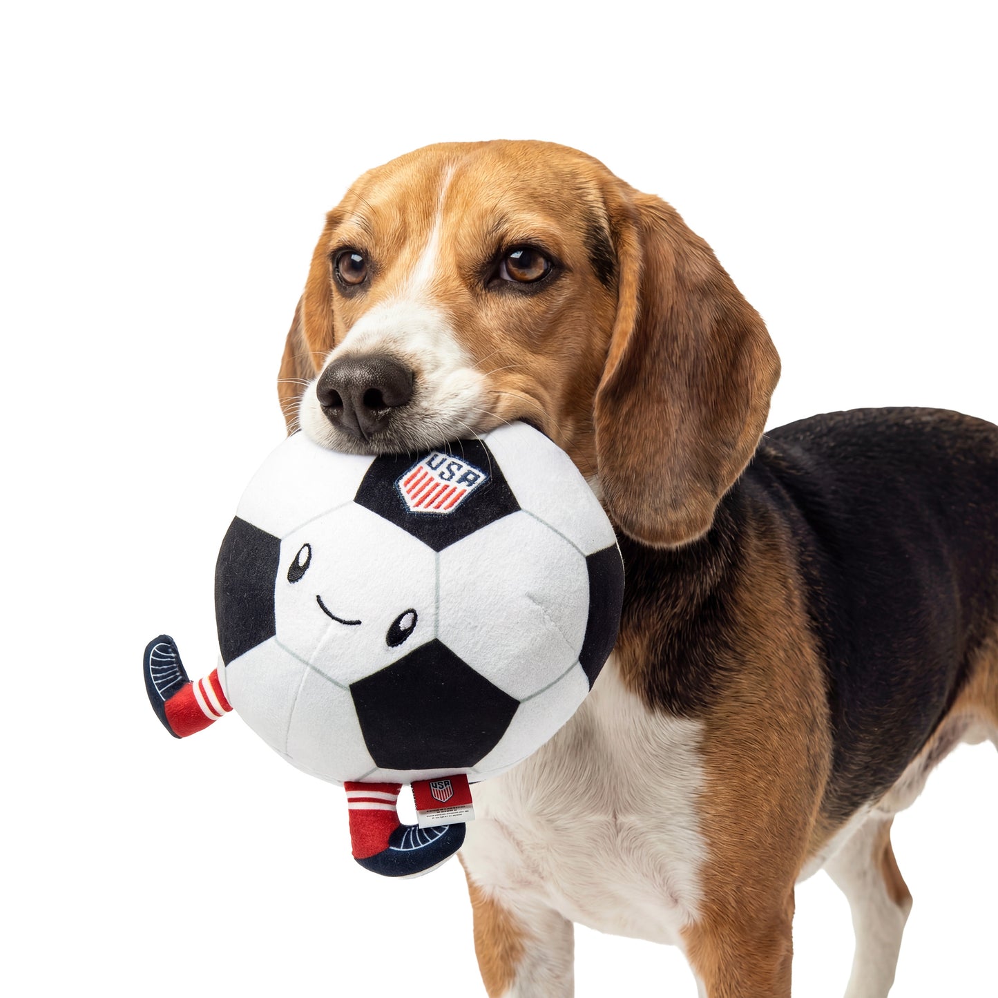 G-Mason U.S.A Soccer Ball Chew Toy