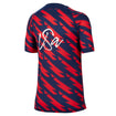 Youth Nike USMNT 2023 VW Pre-Match Red Top - Back View