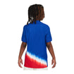 Youth Nike USMNT 2024 American Icon Away Match Jersey - Back View