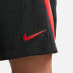 Men's Nike USWNT Strike Black Shorts - Nike Logo View