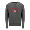 Men's New Era USMNT United States Arch Grey Crew Sweatshirt - Front View