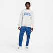 Men's Nike USA States Fleece Crew in Grey - Front Far View