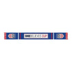 Ruffneck USWNT SBC Knit Scarf in Blue - Front View